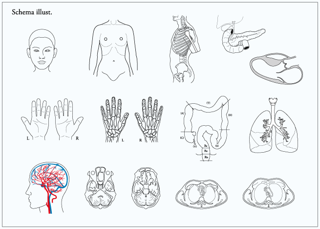 schema